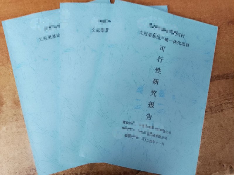 可行性研究报告：规划未来决策的利器